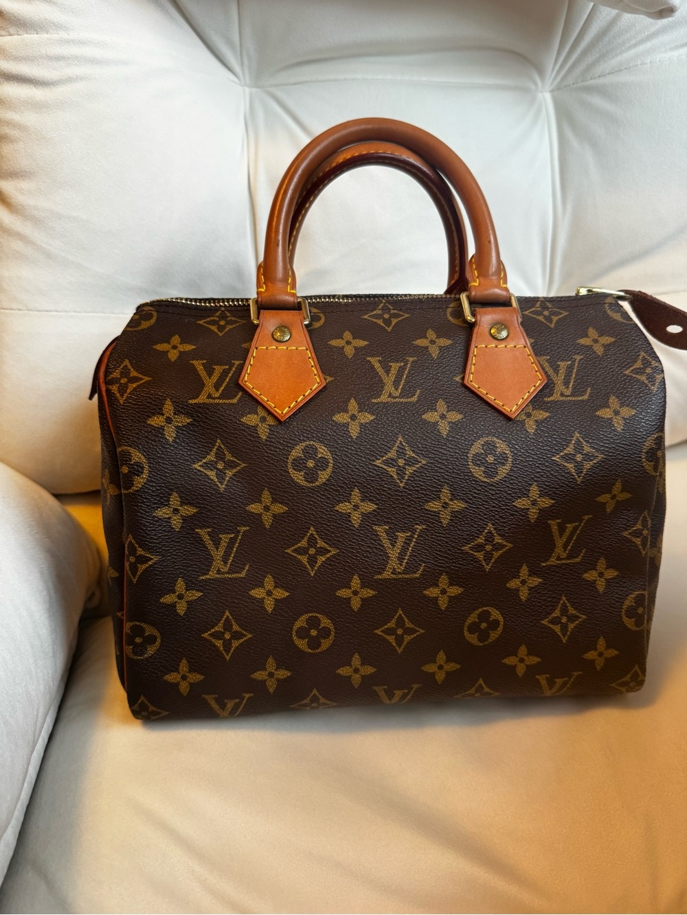 Louis Vuitton Monogram Canvas Speedy 25 Handbag - Brown/Tan Leather
